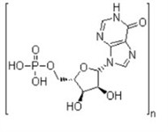 聚肌苷酸 (PolyI)